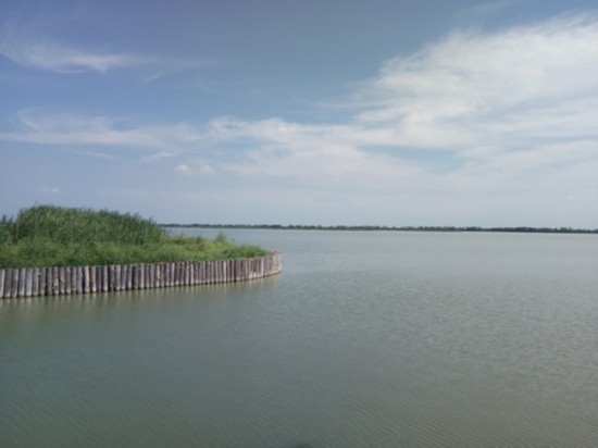 天津七里海天然湿地生态环境保护修复工作成效显著